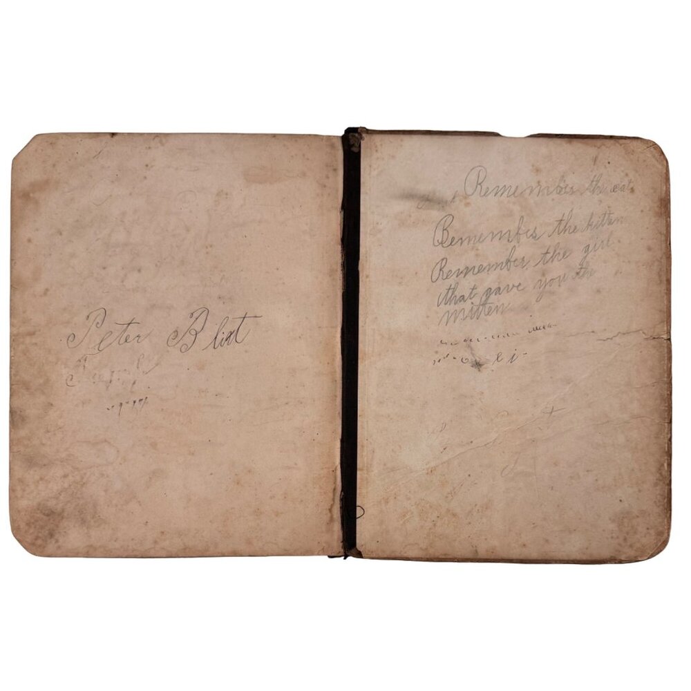 Colton's New Introductory Geography 1875 Hardback Book D. D. Merrill Damage READ - Picture 9 of 16